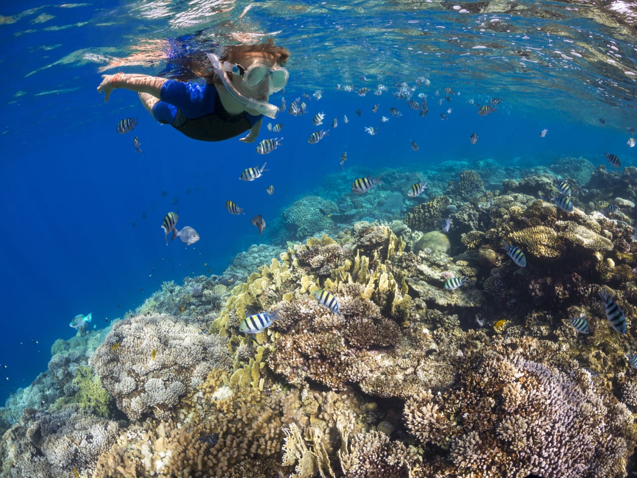 Kind schnorchelt über bunten Korallenriffen © iStock.com/strmko
