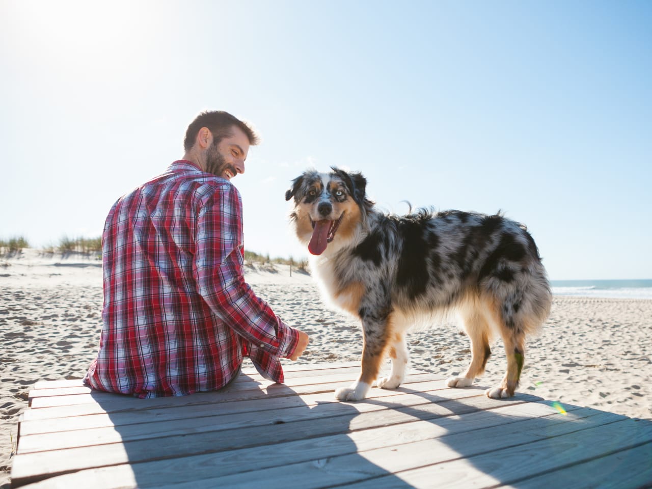 Mann und Hund am Strand ©Gonalo Barriga/Image Source via Getty Images