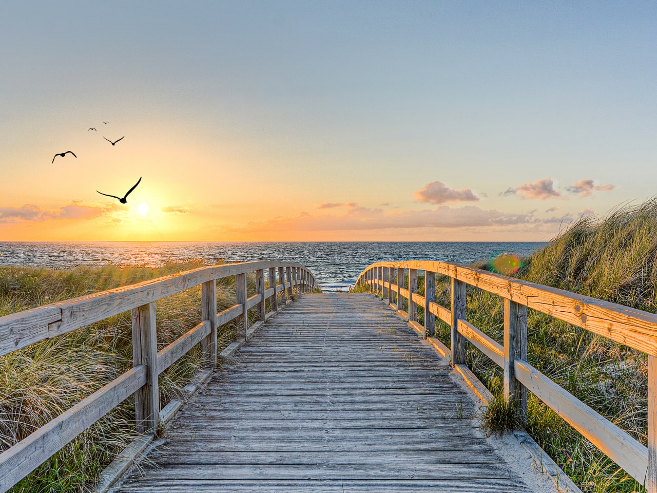 Ein langer Holzweg der Richtung Meer führt. Die Sonne geht unter und die Vögel fliegen über das Meer © Marco2811 - stock.adobe.com