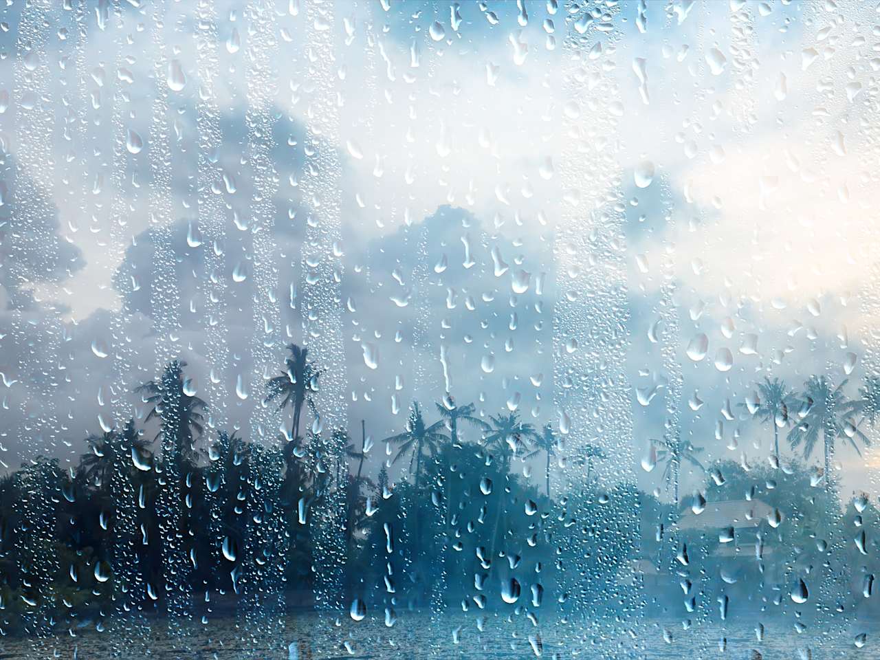 Fensterscheibe voller Regentropfen mit Regenwald im Hintergrund.