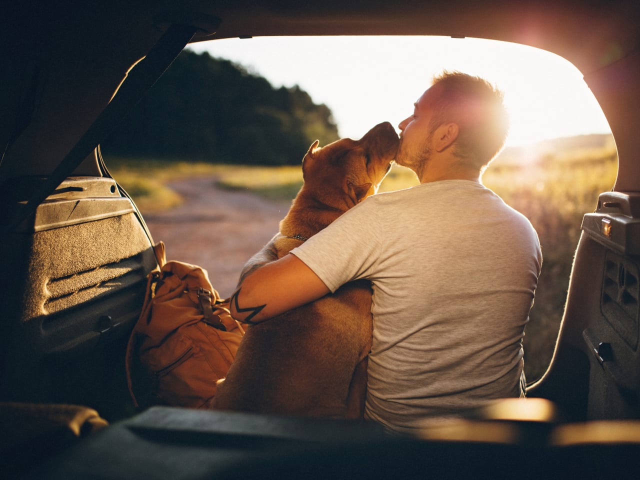 Reisen mit Hund ©PhotoAttractive/E+ via Getty Images