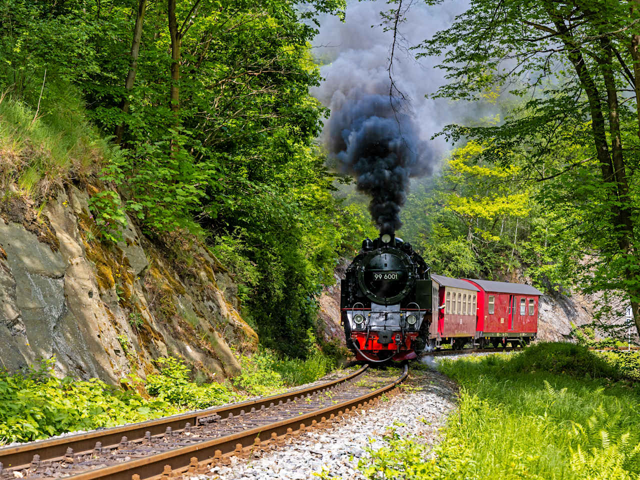 Selketalbahn, Harz © dk-fotowelt - stock.adobe.com