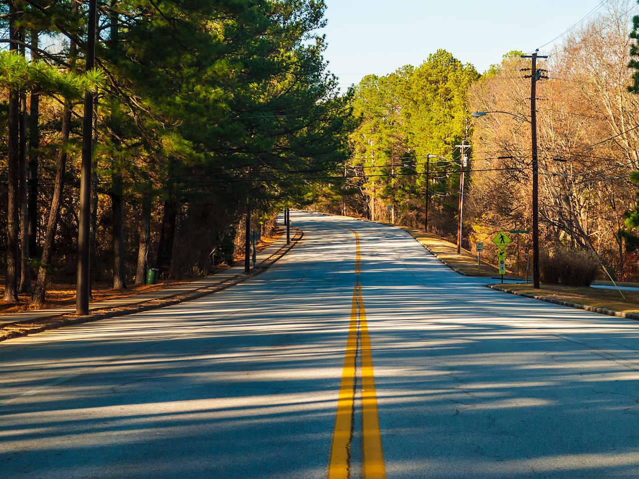 Eine mit Bäumen gesäumte Straße mit gelbem Mittelstreifen