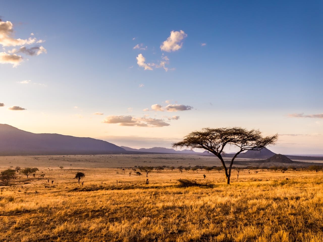 Tsavo East National Park, Kenia ©czekma13/iStock / Getty Images Plus via Getty Images