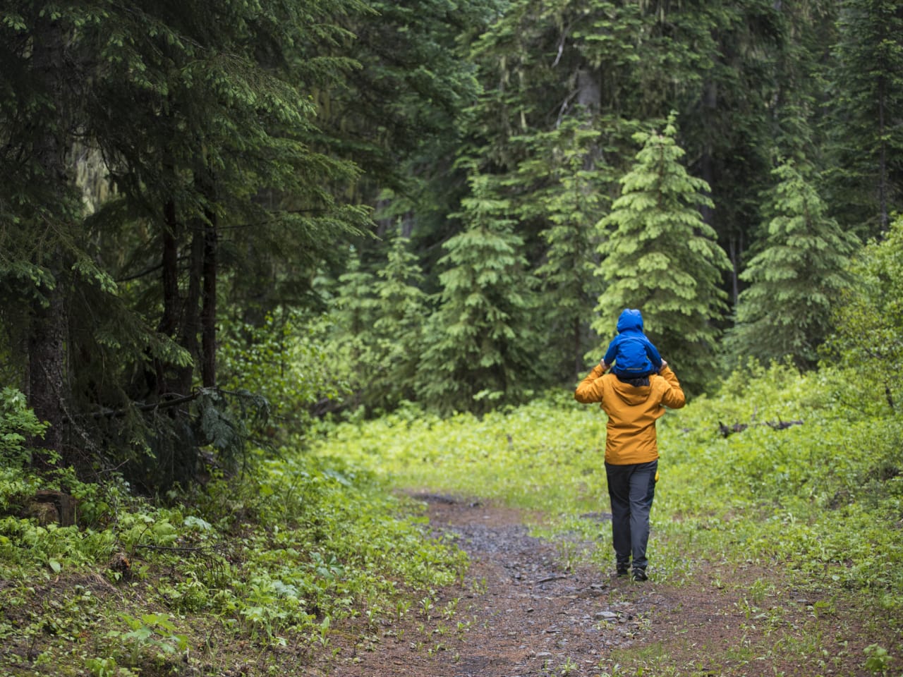 Wandern im Schwarzwald ©Cavan Images/Cavan via Getty Images