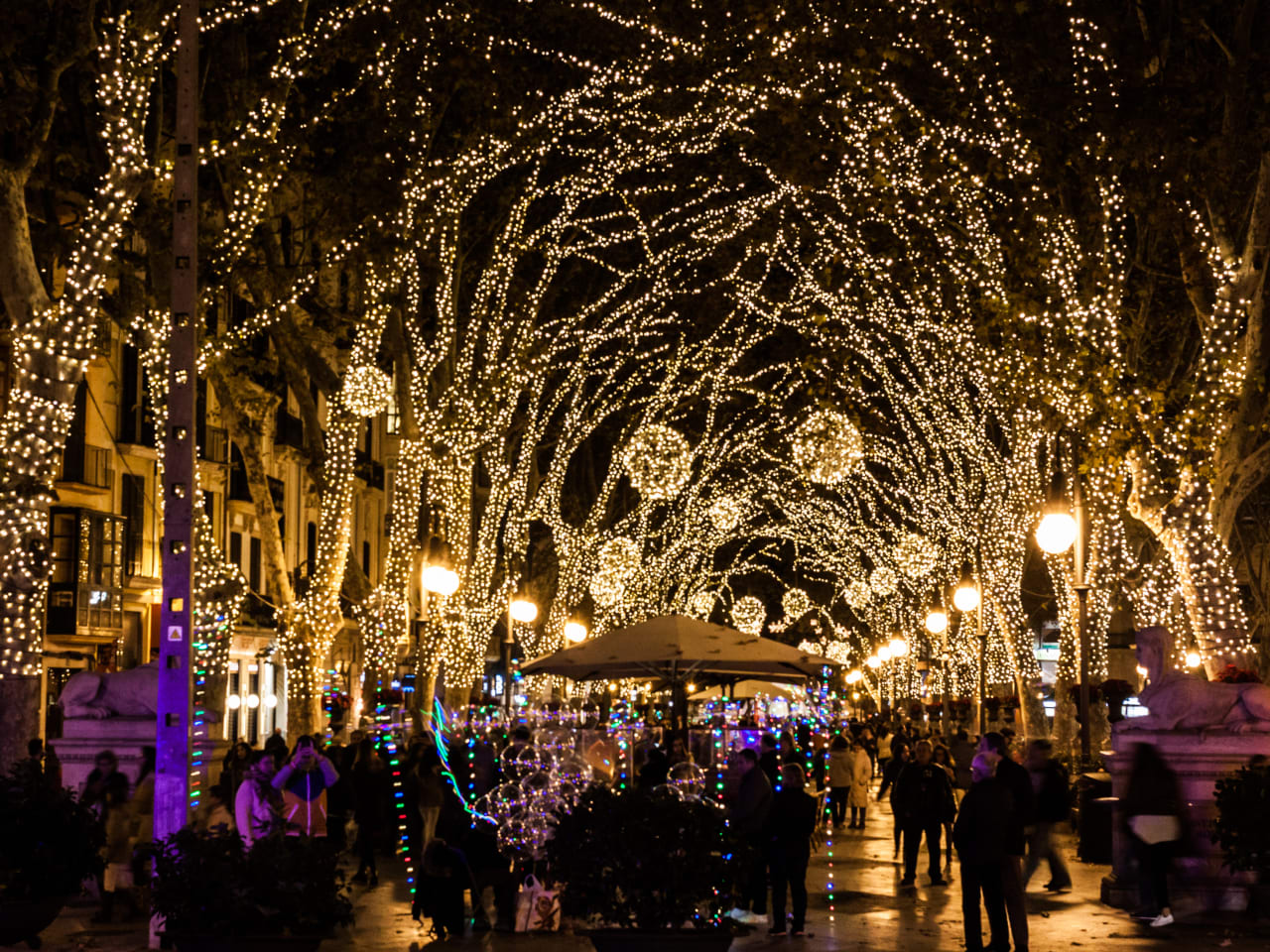 Weihnachtsbeleuchtung am Passeig del Born, Mallorca © iStock.com/Jeanne Emmel