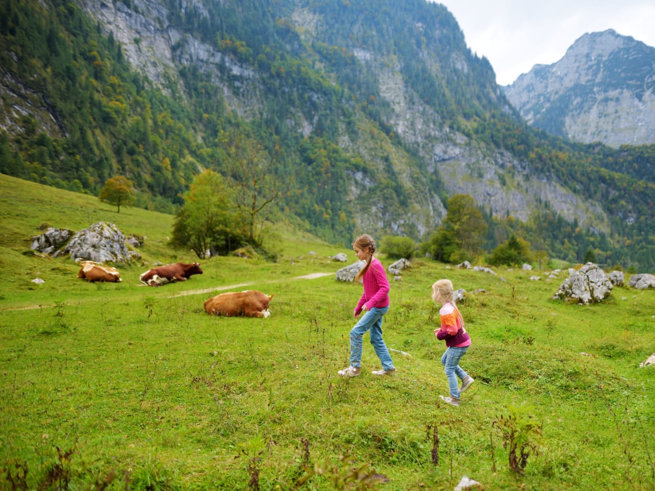 Zwei Schwestern auf Wanderwegen rund um den malerischen Königssee mit Kühen © iStock.com/MNStudio