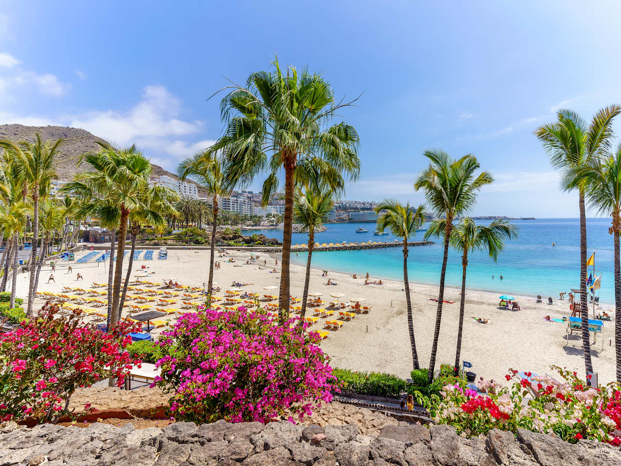Blühende Pflanzen und Liegen für UrlauberInnen am Anfi Strand auf Gran Canaria