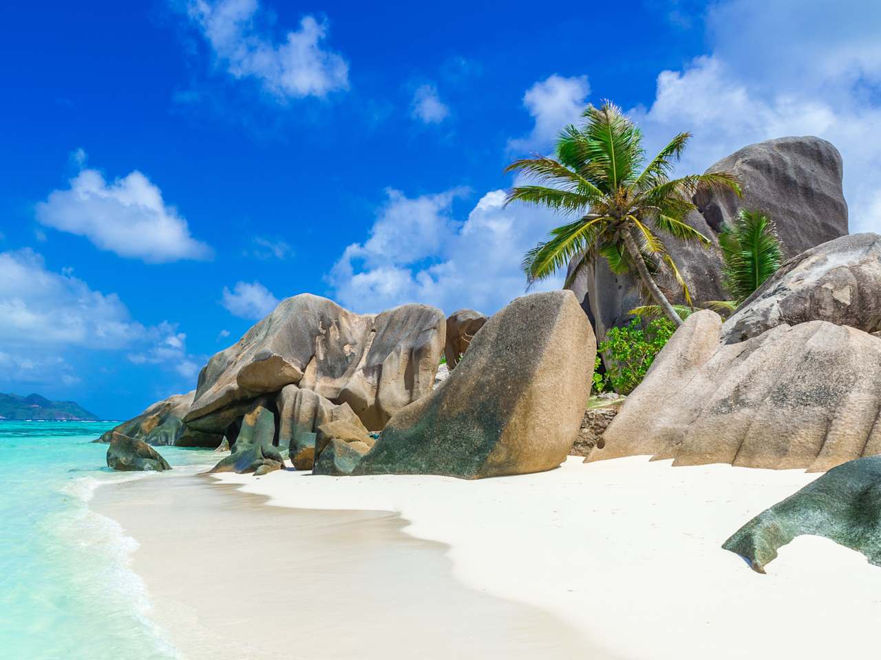 Ein Strand mit großen Felsen und einer Palme.