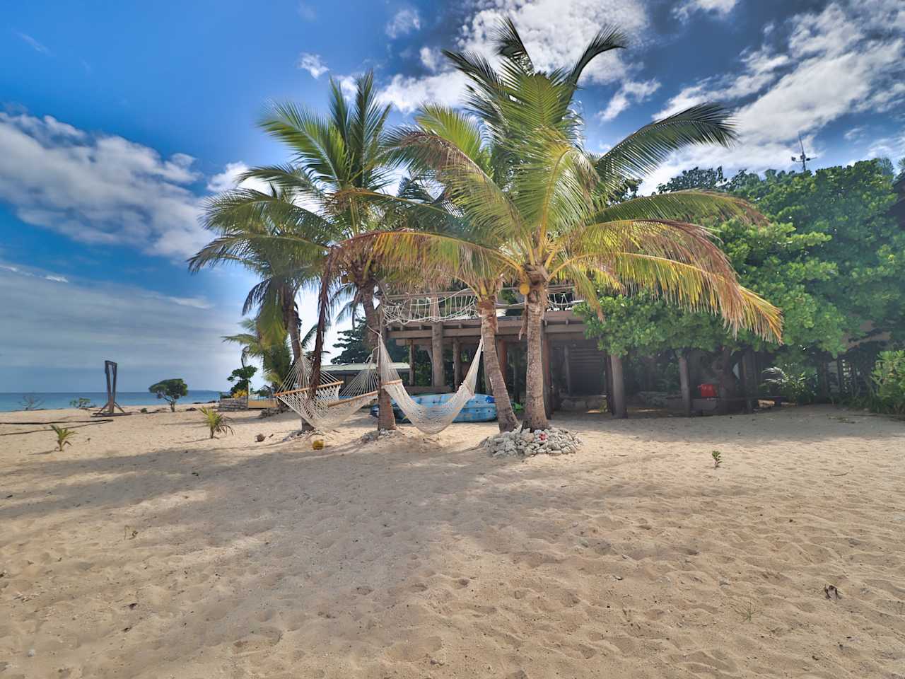 Hängematten zwischen Palmen