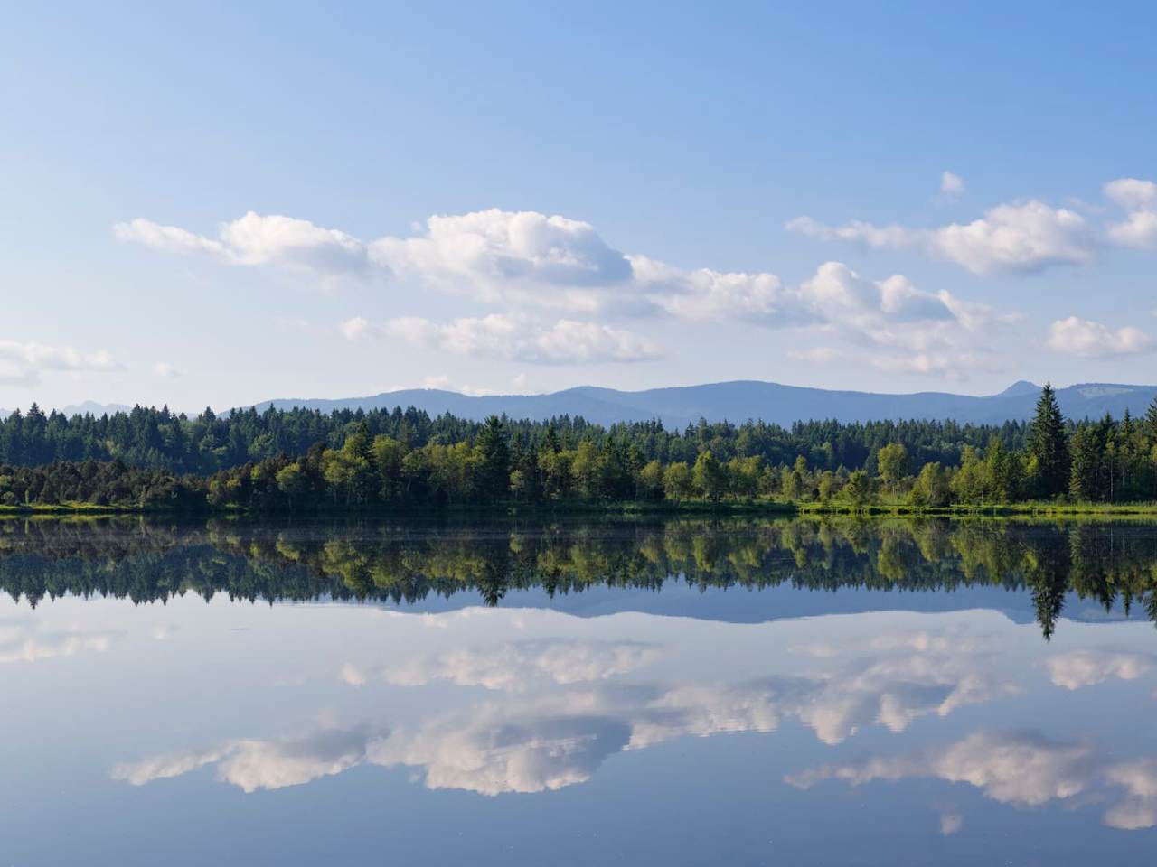 Blick auf den Kirchsee mit einem Wald im Hintergrund, Bayern, Deutschland.