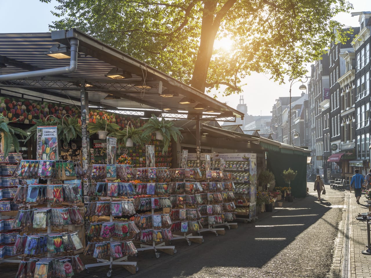 Blumen und Blumensamen an einem großen Marktstand in Amsterdam, Niederlande.