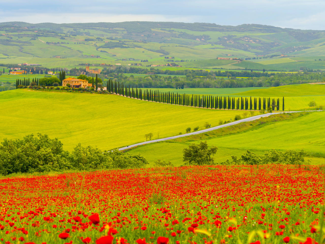 Ein Haus umgeben von Zypressen im Val d’Orcia Tal, Italien.
