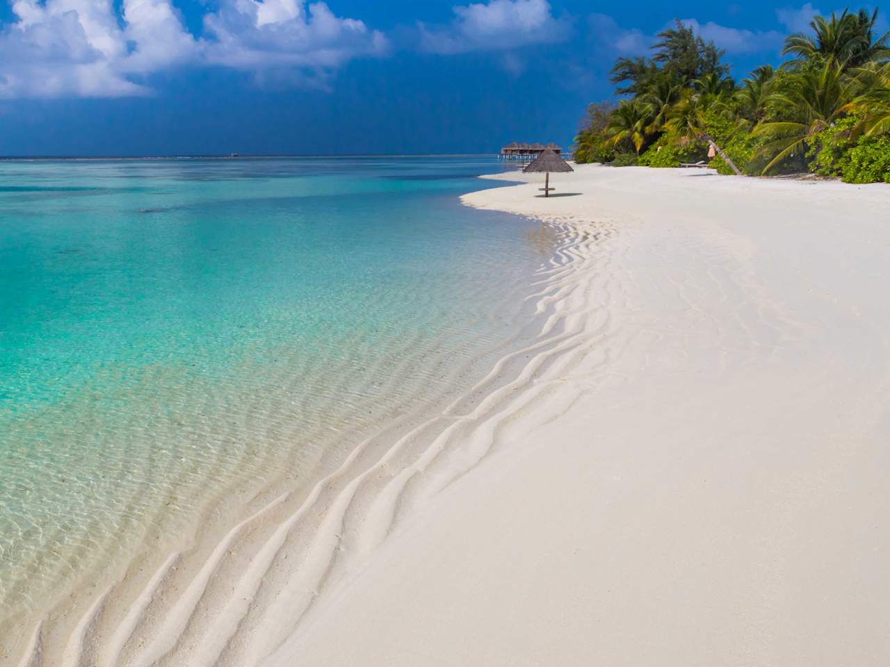 Ein tropischer Strand auf den Malediven.