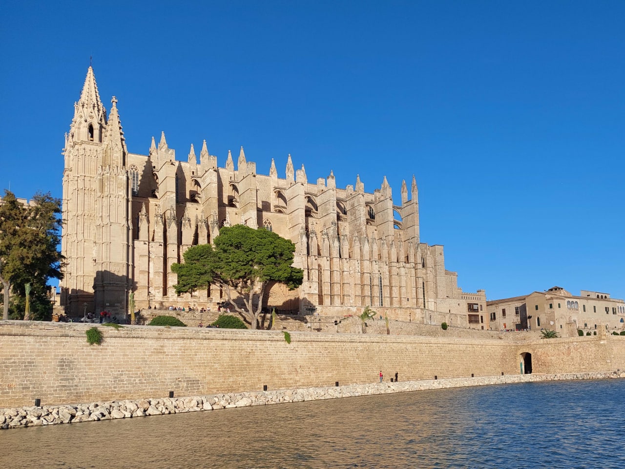 Die  Kathedrale der Heiligen Maria in Palma de Mallorca.