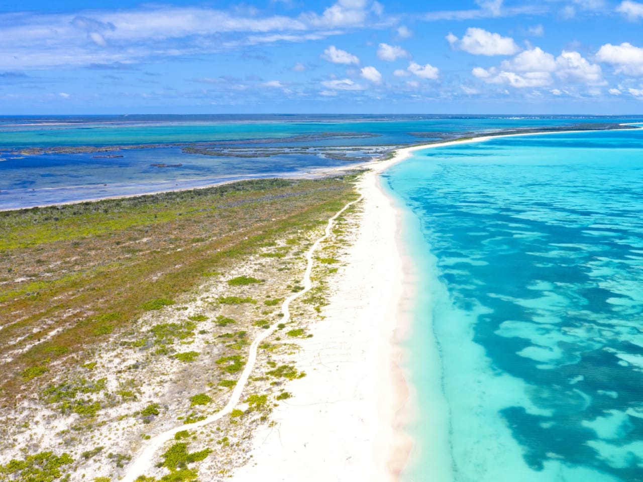 Luftaufnahme eines langen, karibischen Sandstrandes auf Barbuda.