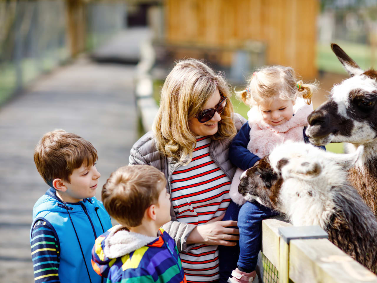 Mutter und Kinder im Streichelzoo © Irina Schmidt – stock.adobe.com
