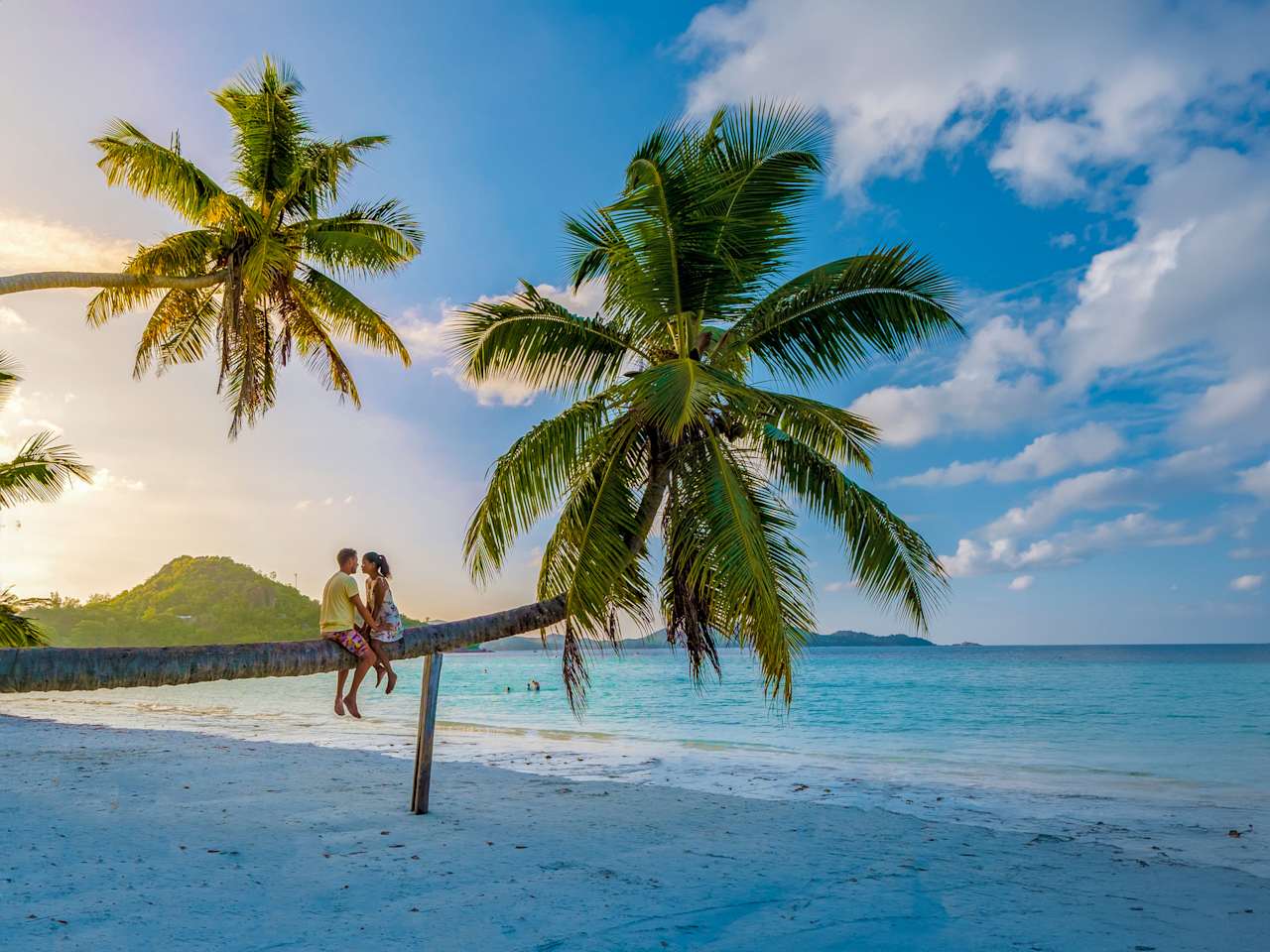 Zwei Personen sitzen auf einer Palme am Strand Anse Volbert auf Praslin, Seychellen