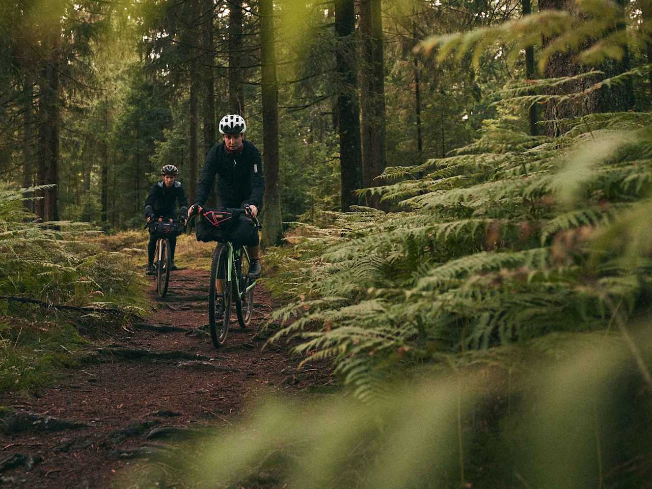 Zwei Radfahrerinnen fahren durch einen dunklen Nadelwald