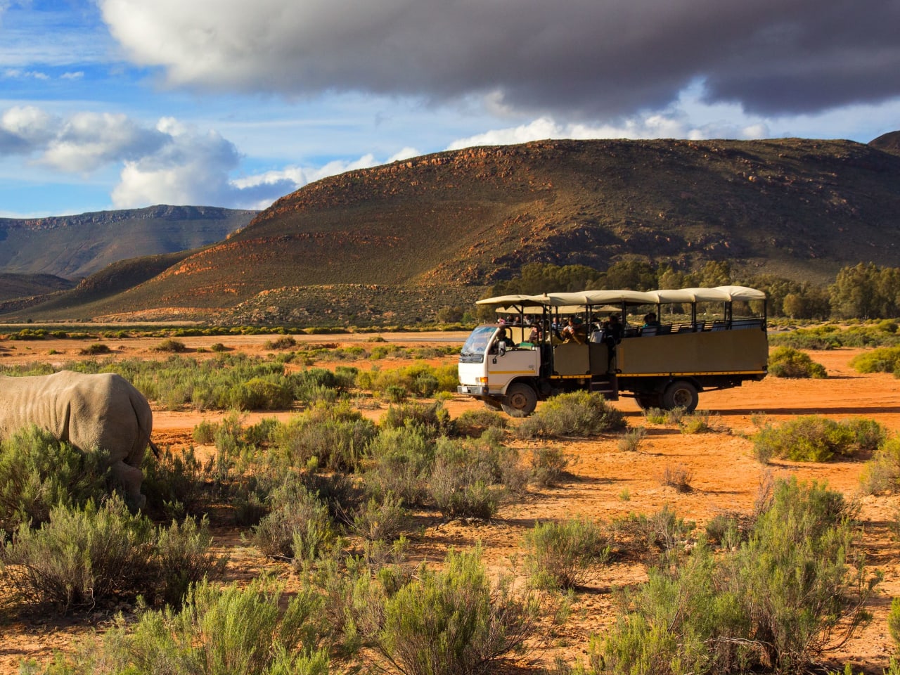 Ein Safari-Fahrzeug steht in der afrikanischen Wildnis mit Touristen, die ein Nashorn beobachten.