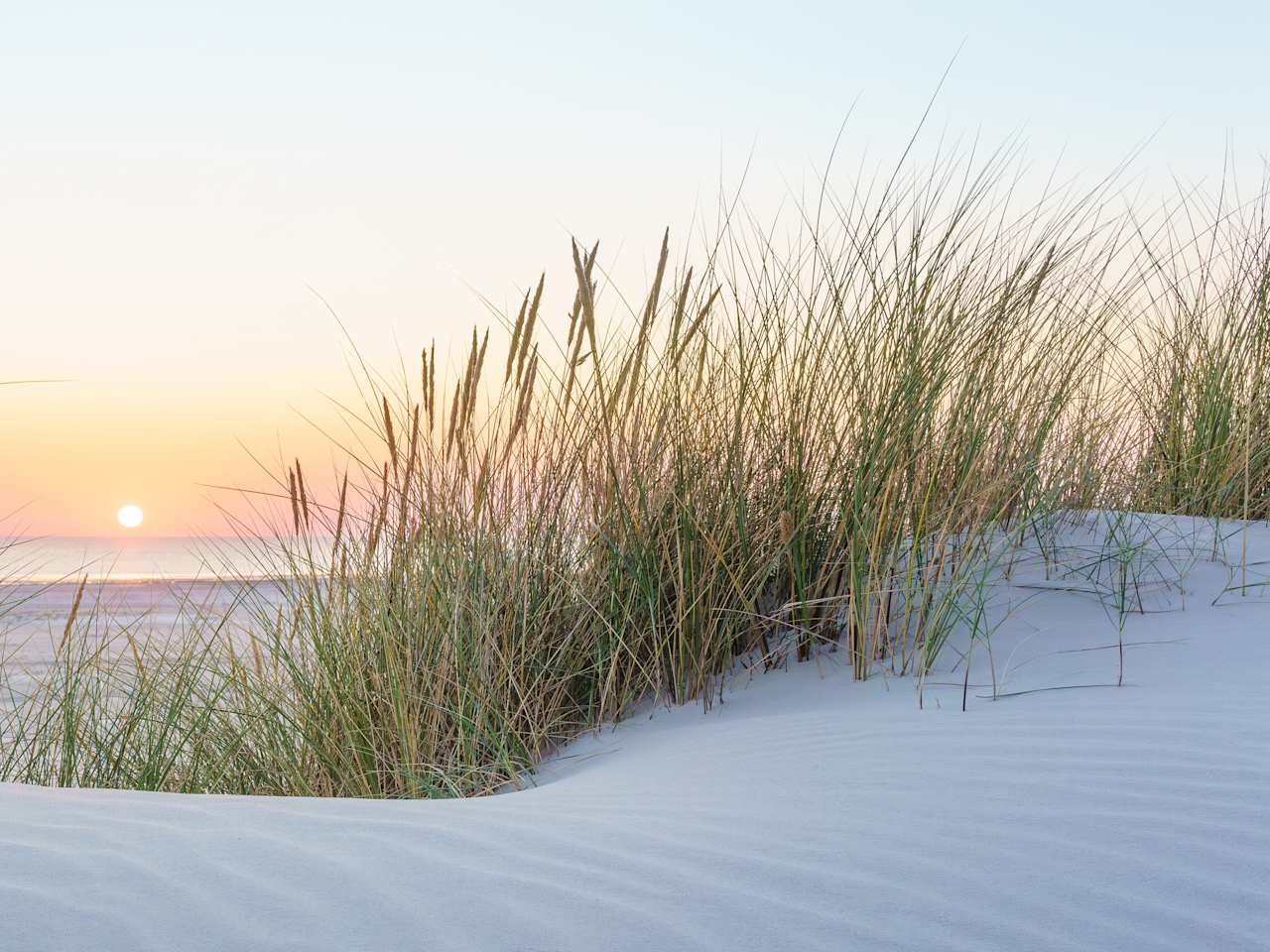 Sonnenuntergang an der Nordsee © shutterstock_2601859625