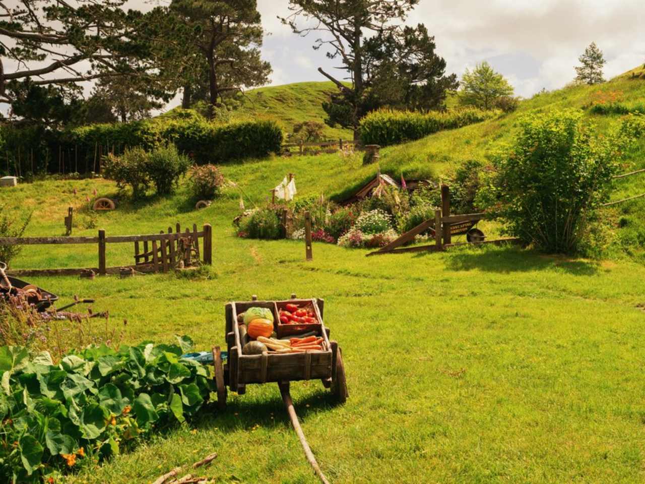 In Neuseeland erwacht vom Auenland bis Mordor ganz Mittelerde zum Leben. © istock/RyanZW