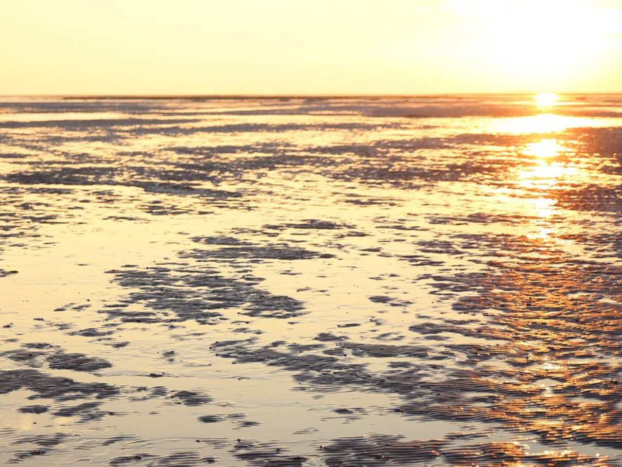 Wenn die Sonne über dem Wattenmeer auf- oder untergeht, haben nicht nur die vorbeiziehenden Vögel zu staunen. © iStock via Getty/claffra
