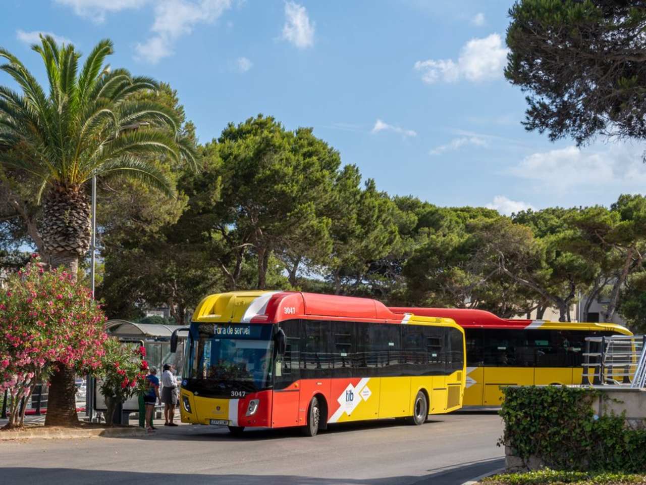 TIB-Busse fahren regelmäßig über die ganze Insel. © Neme Jimenez/iStock