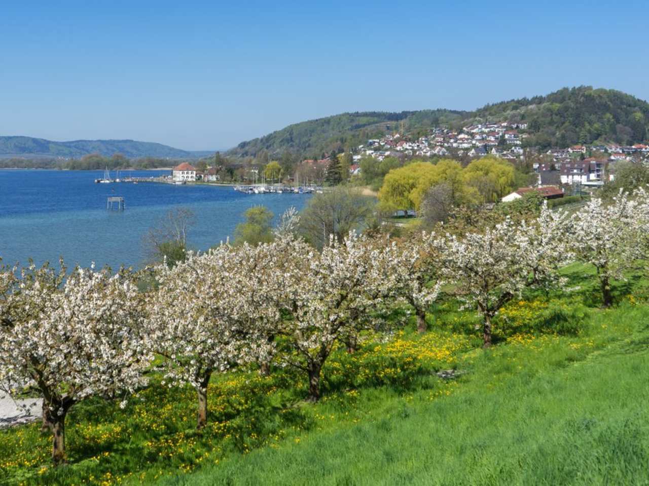 Die Marienschlucht befindet sich bei Bodman-Ludwigshafen am Bodensee. © iStock via Getty/RobertSchneider