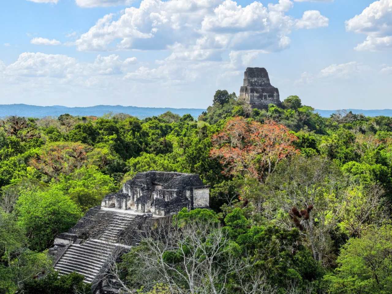 Unweit der berühmten Maya-Stadt Tikal gibt es ein noch älteres, möglicherweise sogar bedeutenderes Zentrum der Maya-Kultur. © istock/Eder Marcos Camacho Gomez