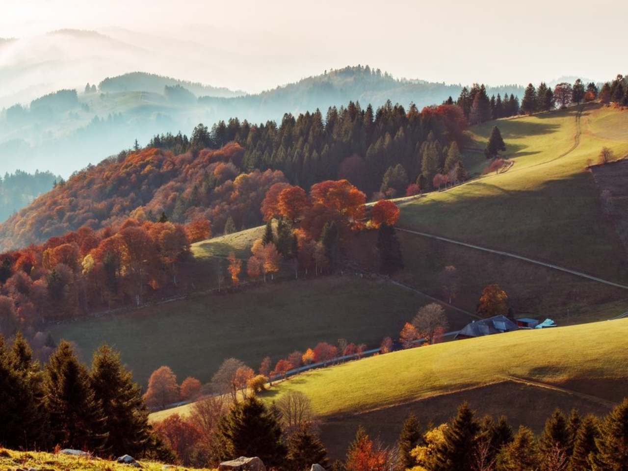 Der Schwarzwald im Herbst bietet eine unvergleichliche landschaftliche Schönheit. © istock/Britus / iStock via Getty Images