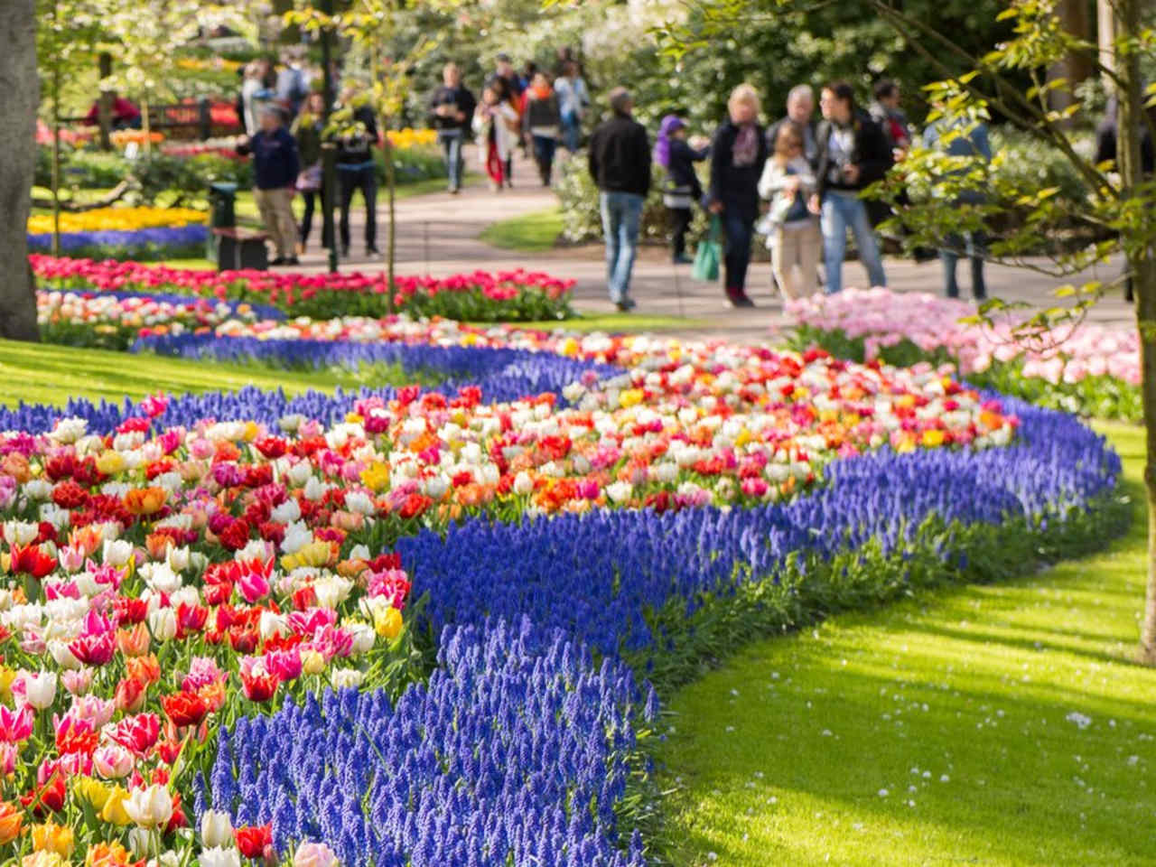 Keukenhof: Die Gartenanlage in den Niederlanden genießt weltweiten Ruhm. © Anton_Ivanov/Shutterstock. com