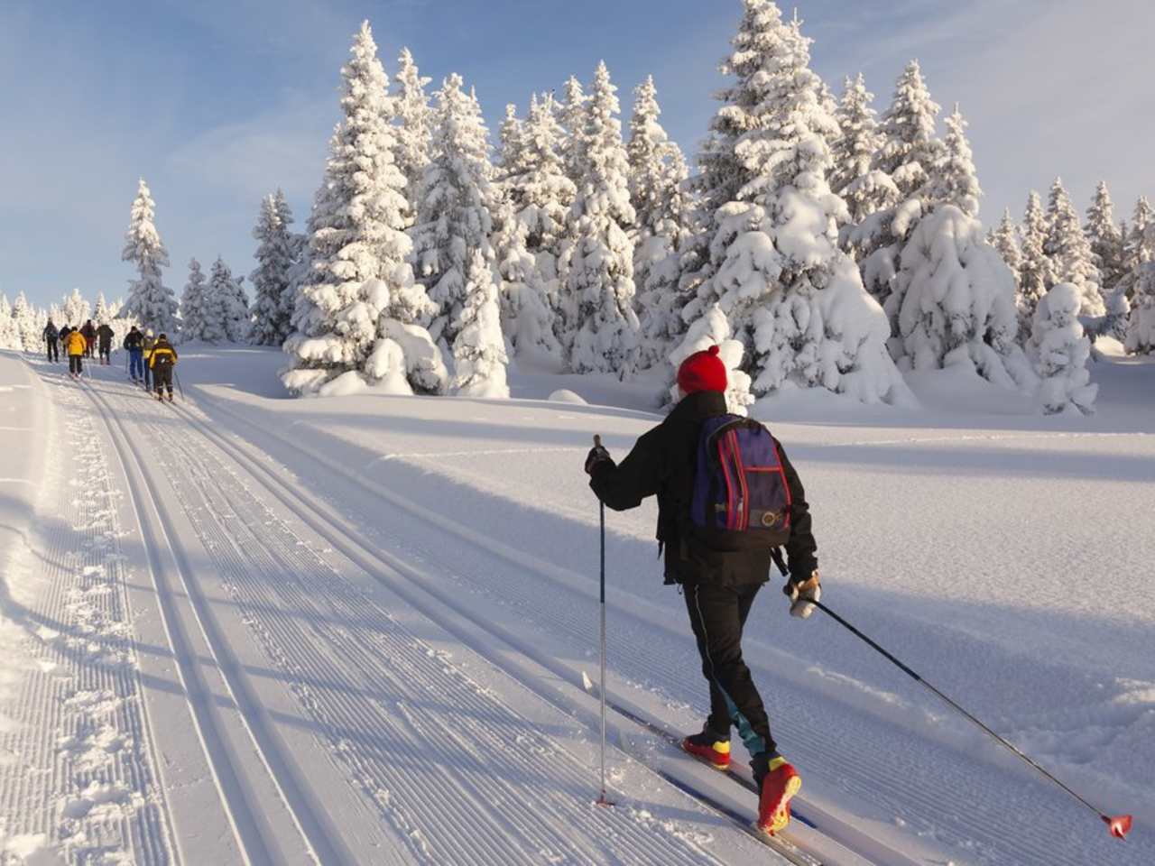 Langlaufen ist für manche der schönste Wintersport. © Rob Kints/Shutterstock.com