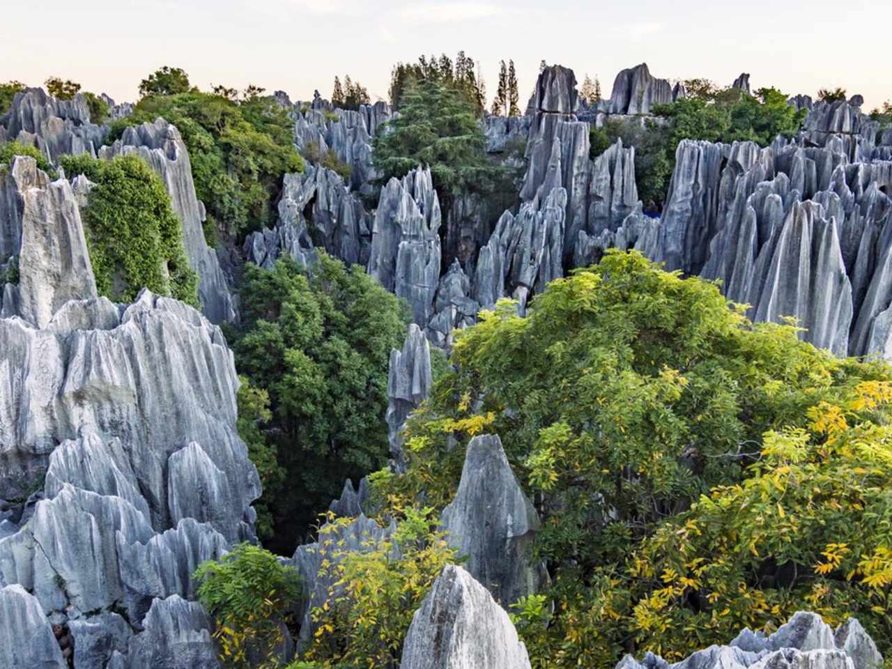 In China zählt der \"Steinwald\" zu den meistbesuchten Naturattraktionen. © Andrii Lutsyk/Shutterstock.com