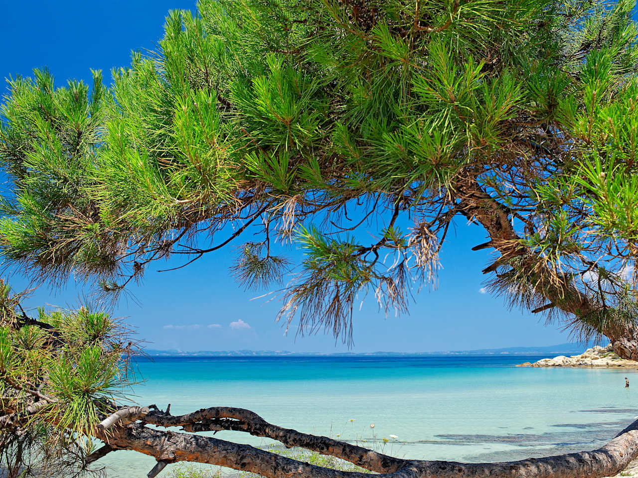 Kavourotripes auf Sithonia begeistert mit kristallklarem Wasser © Halkidiki Tourism Organization