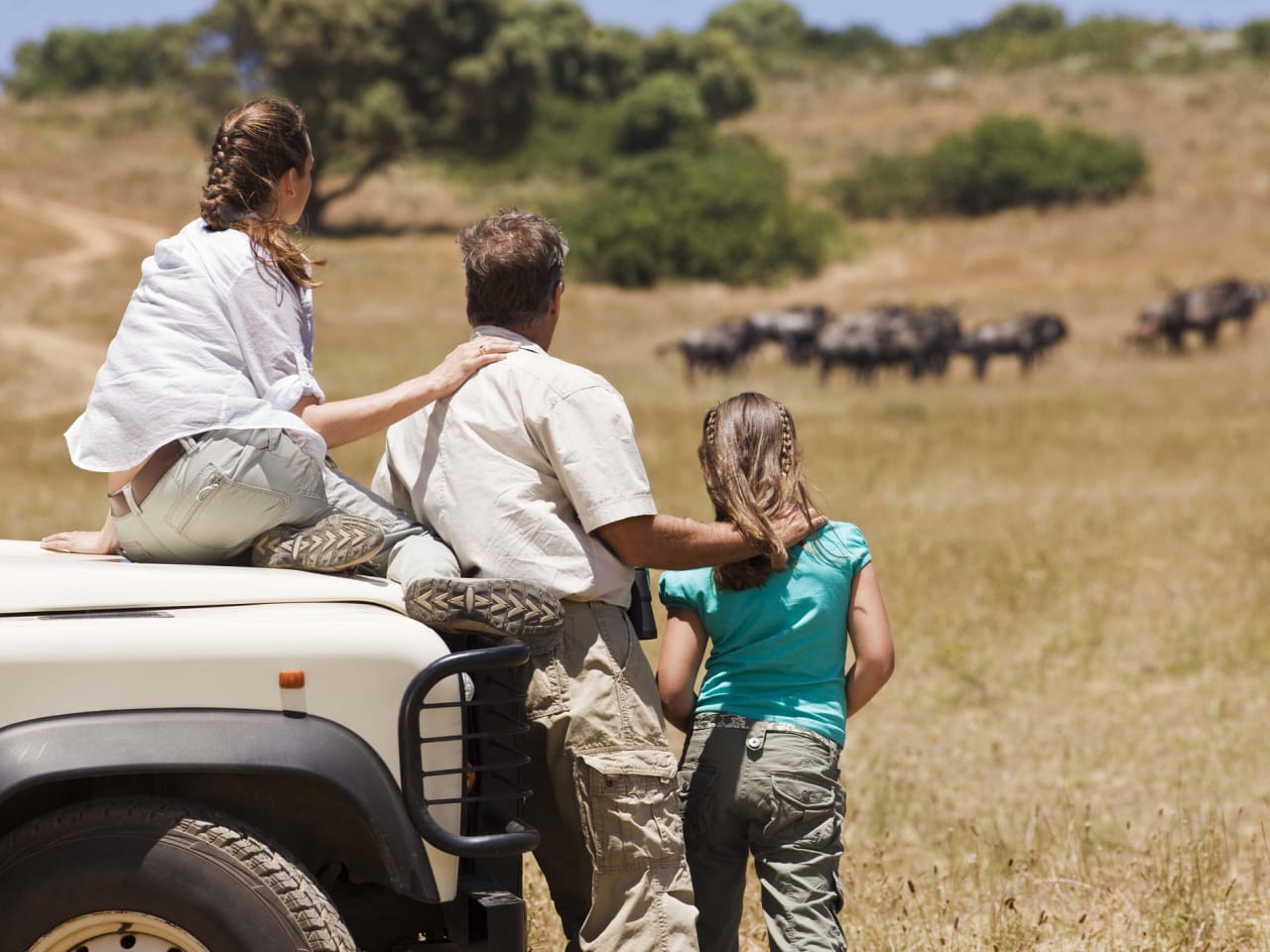Vater beobachtet Tiere mit seinen Töchtern bei einer Safari.