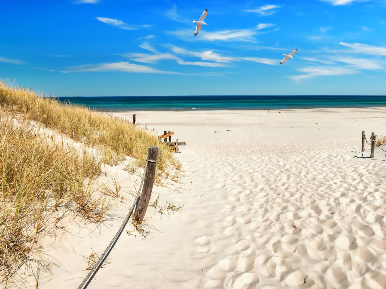 Zwei Möwen fliegen über einen Ostseestrand.