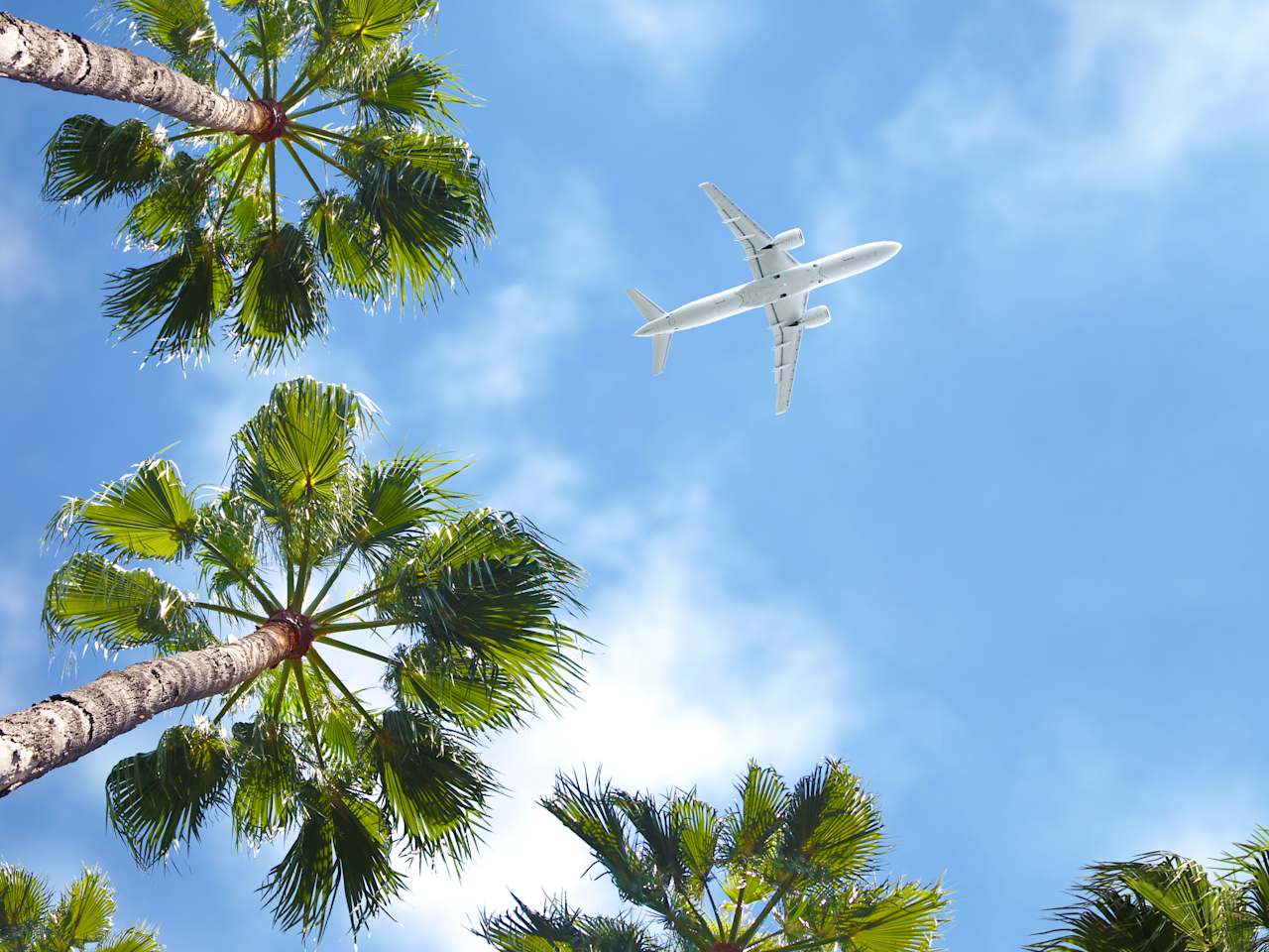 Flugzeug von unten am Himmel