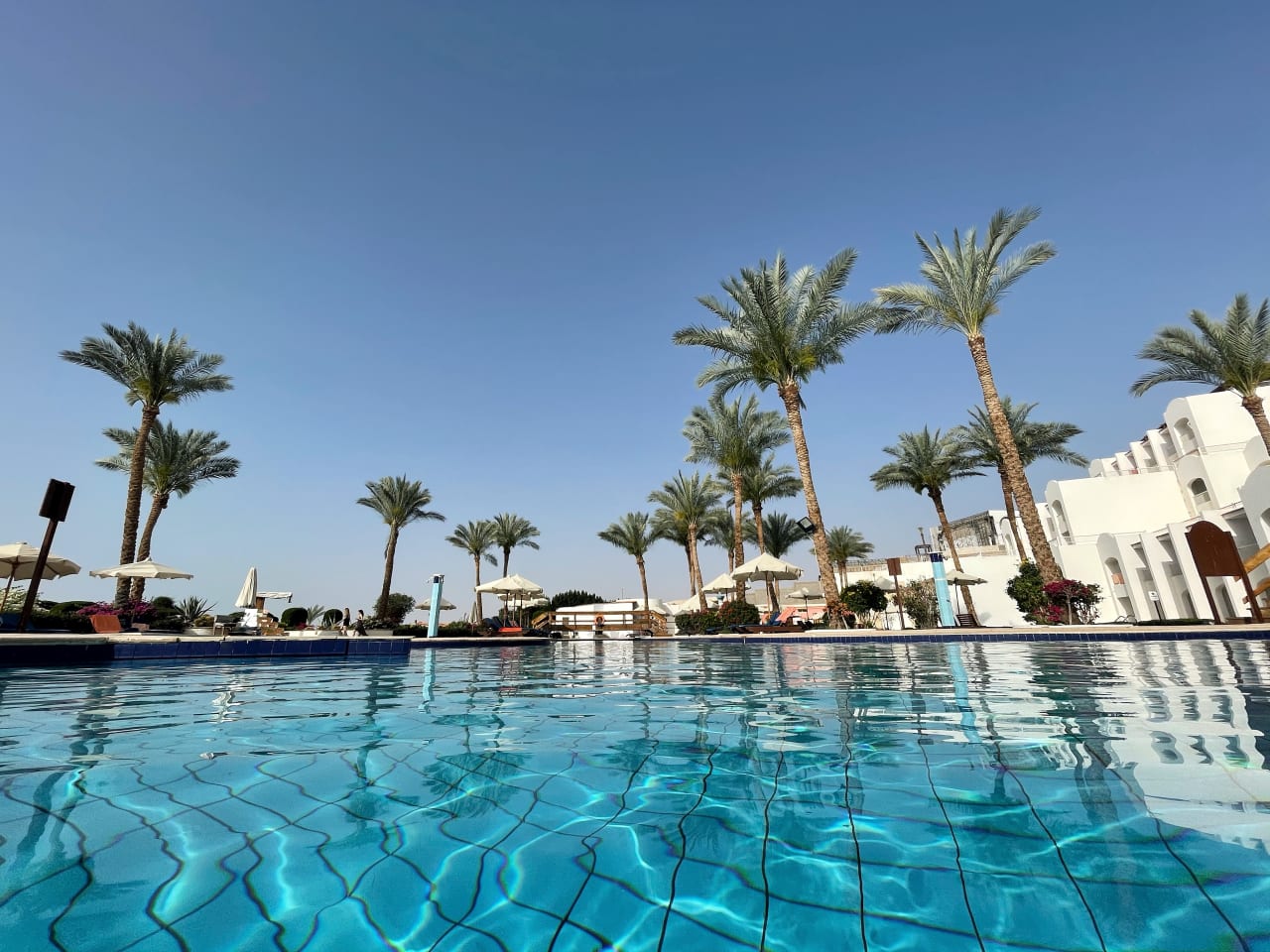 Ein Hotelpool mit Palmen umsäumt in Ägypten