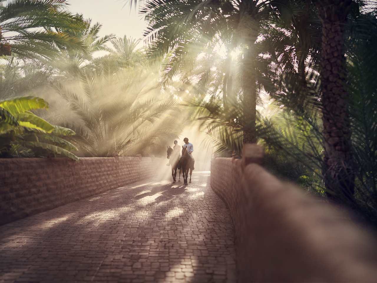 Ein Paar reitet zwischen Palmen auf einem gepflasterten Weg
