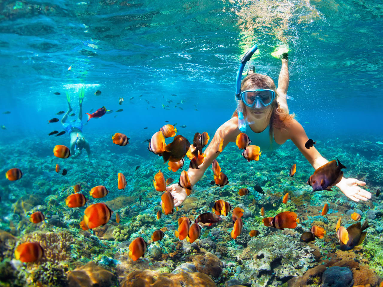 Farbenpracht und Artenvielfalt – das Rote Meer in Ägypten bietet beste Bedingungen zum Schnorcheln und Tauchen © Fotolia / Tropical Studio