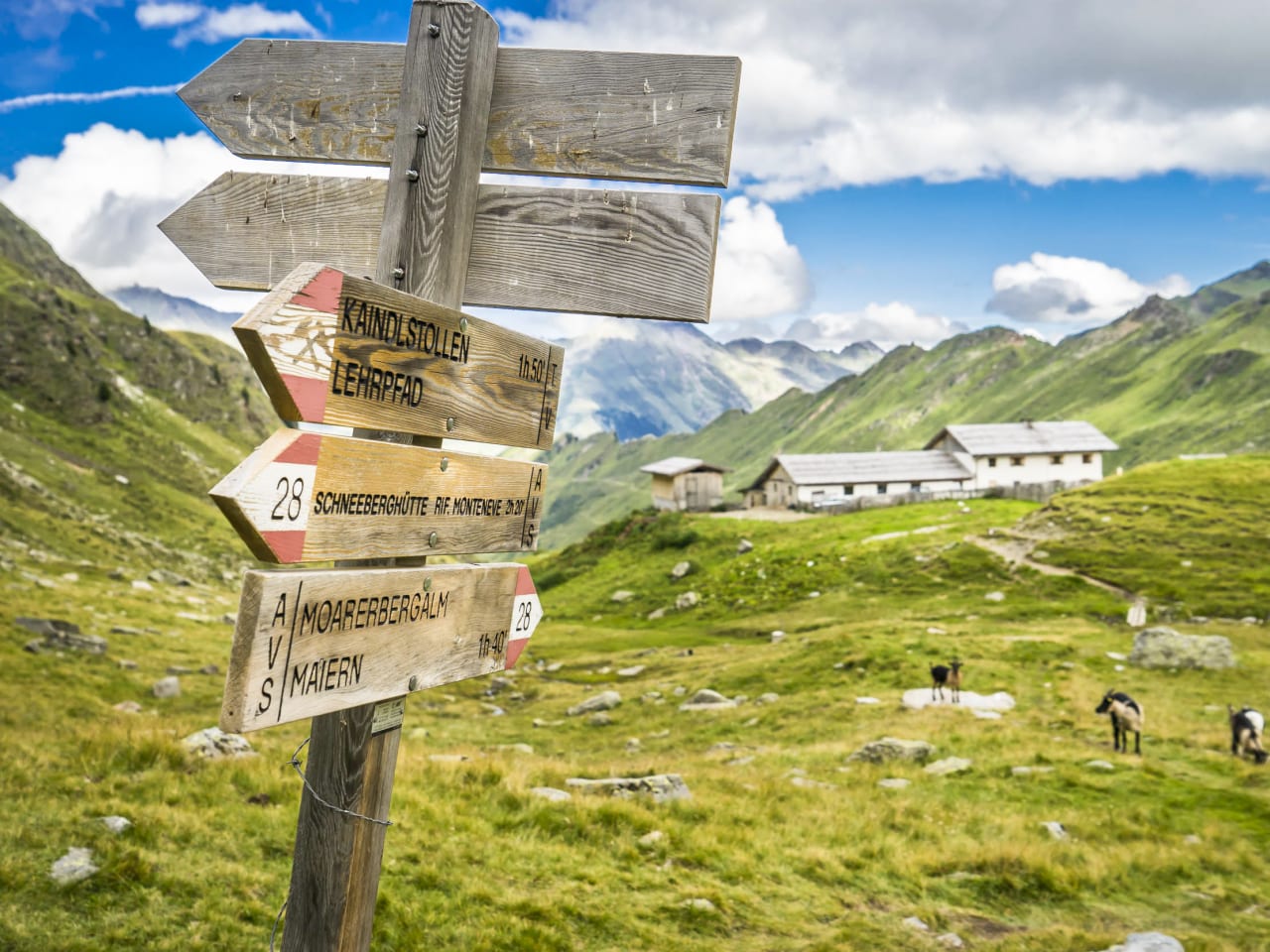 Auf der Bergbauwanderung oberhalb des Bergbaumuseums