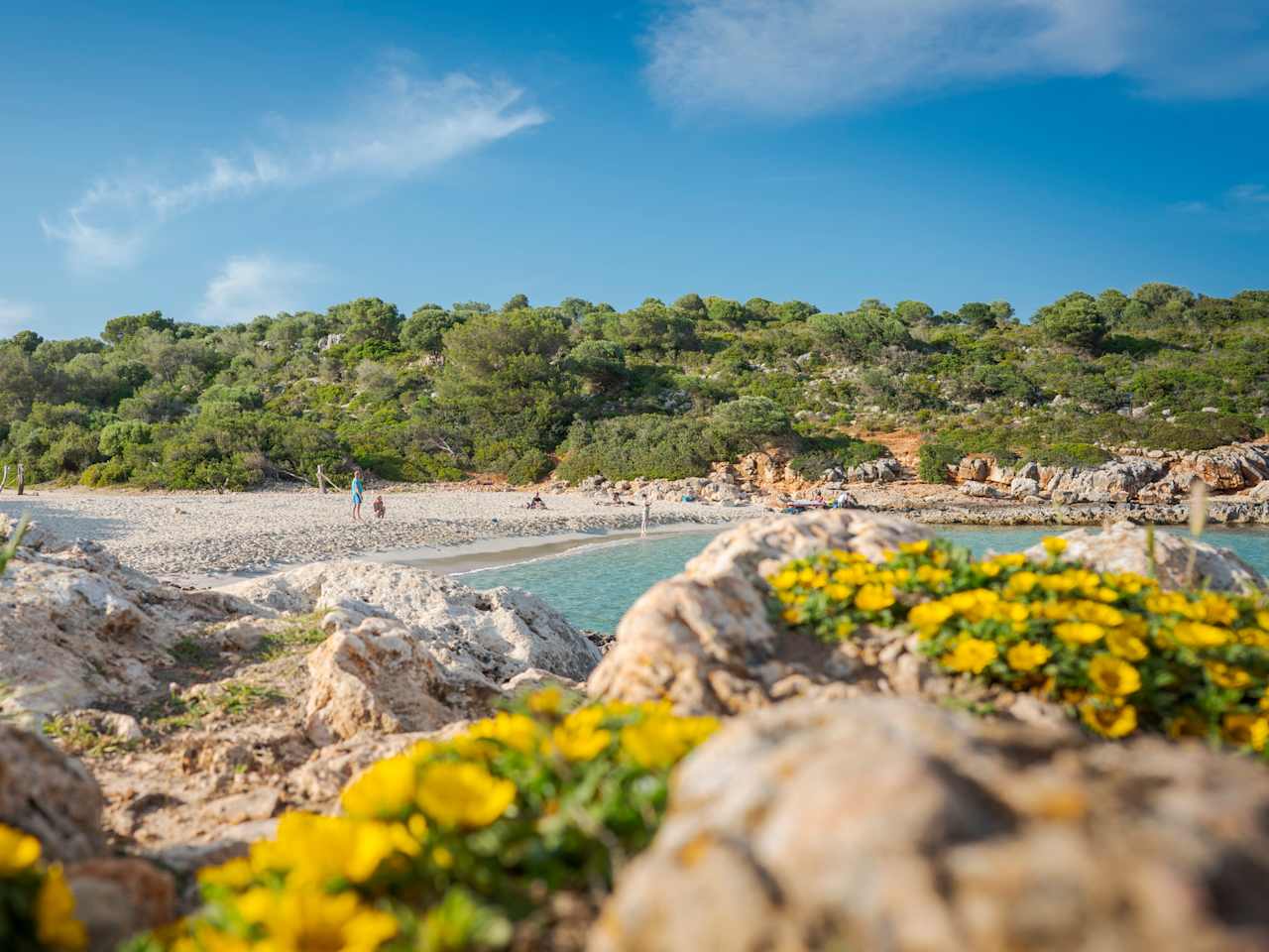 Der Strand von Cala Varques, Mallorca, Spanien © Dietmar Denger