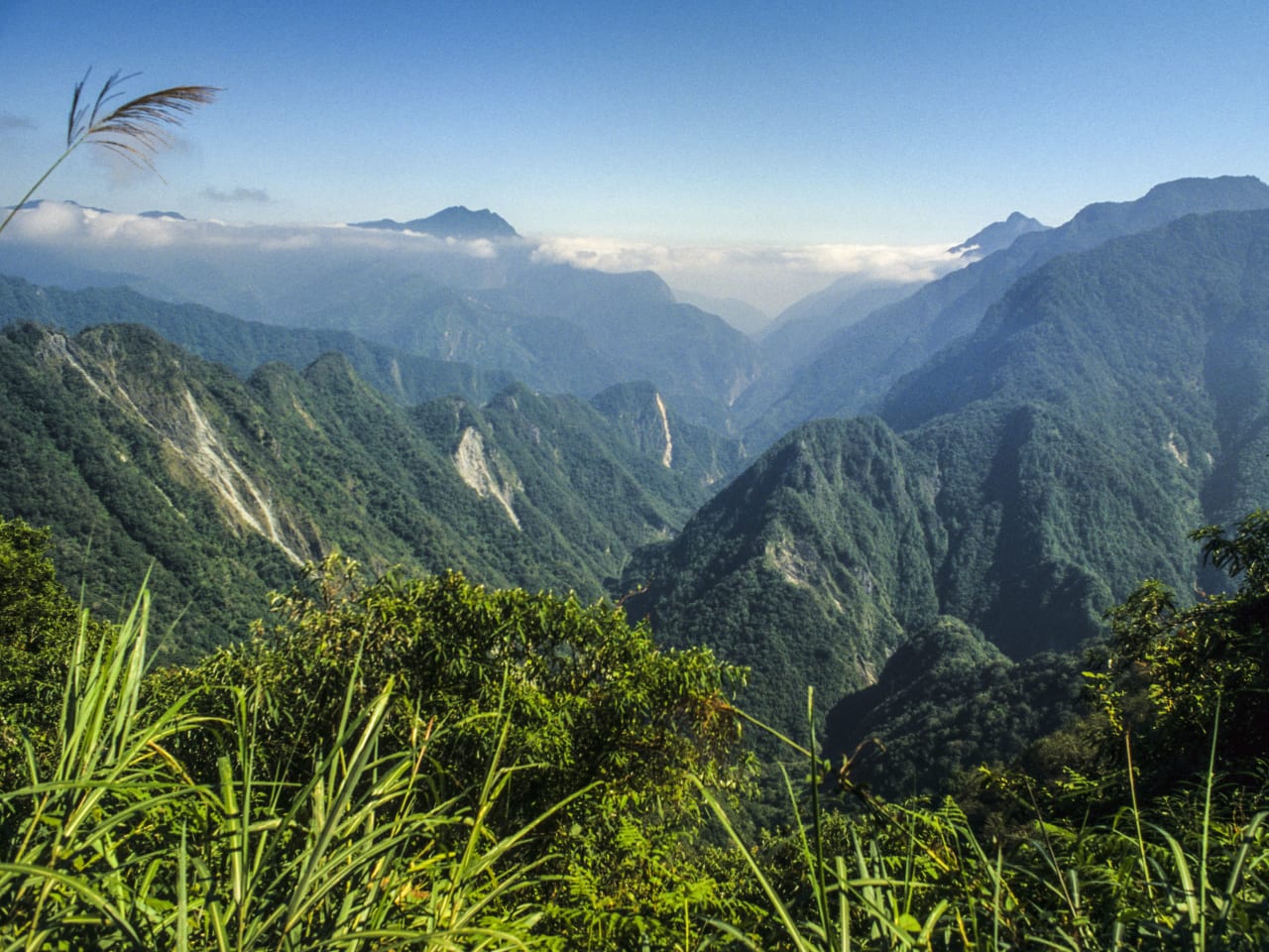 Yu-Shan-Nationalpark, Taiwan