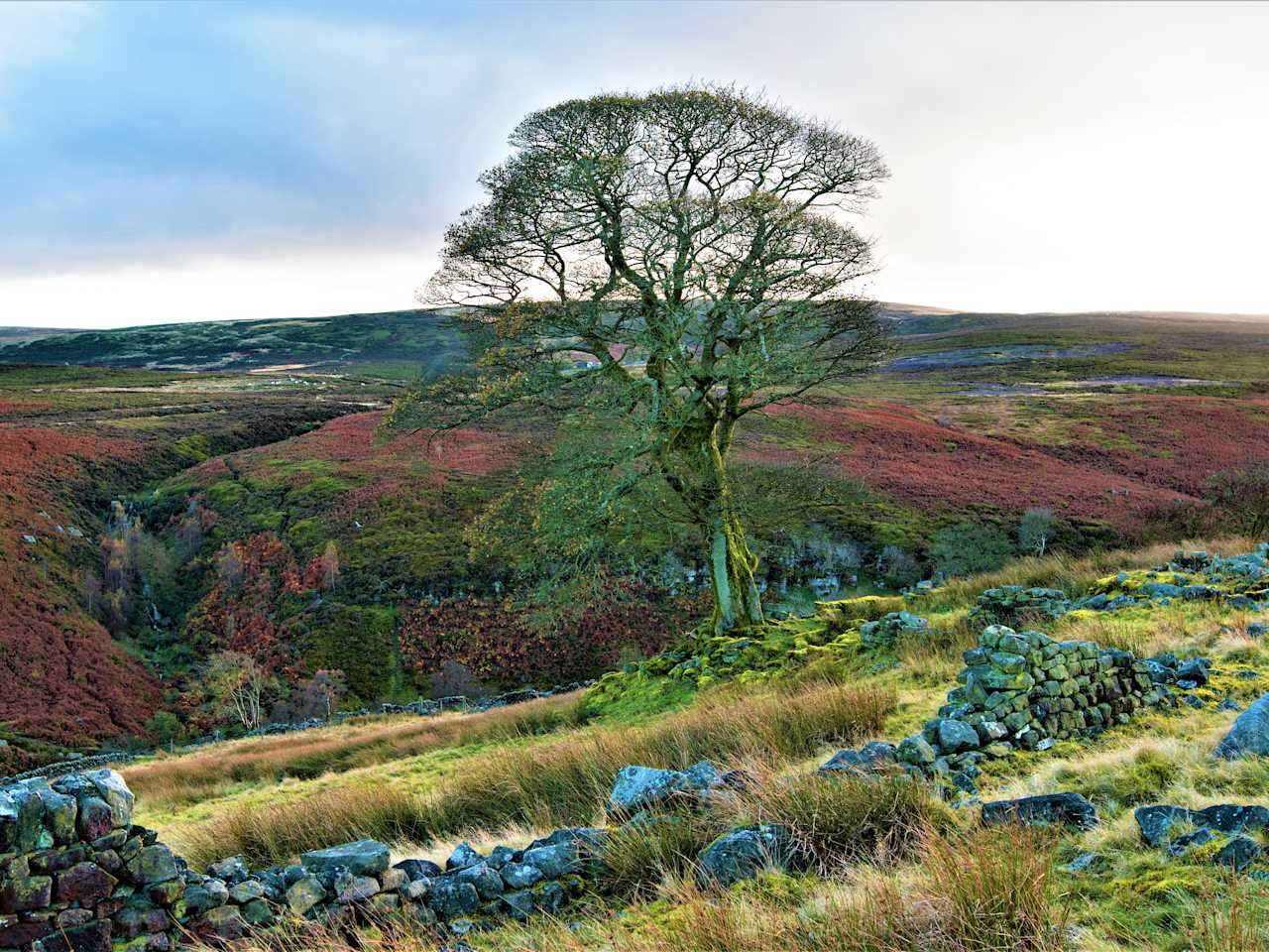 Moorlandschaft von High Withens, in Haworth, West Yorkshire, England.
