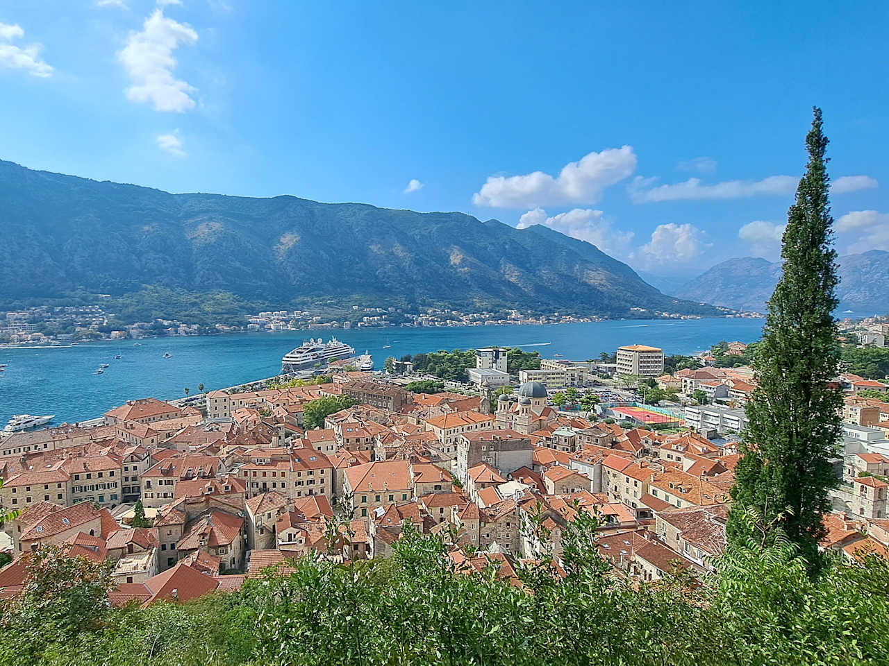Ausblick vom Wanderweg aus auf Kotor und das Meer in Montenegro © Philip Bucher