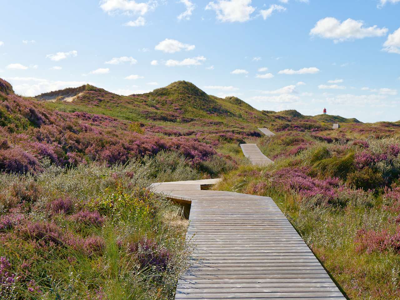 Bohlenweg durch die Heide © Stefan Hack