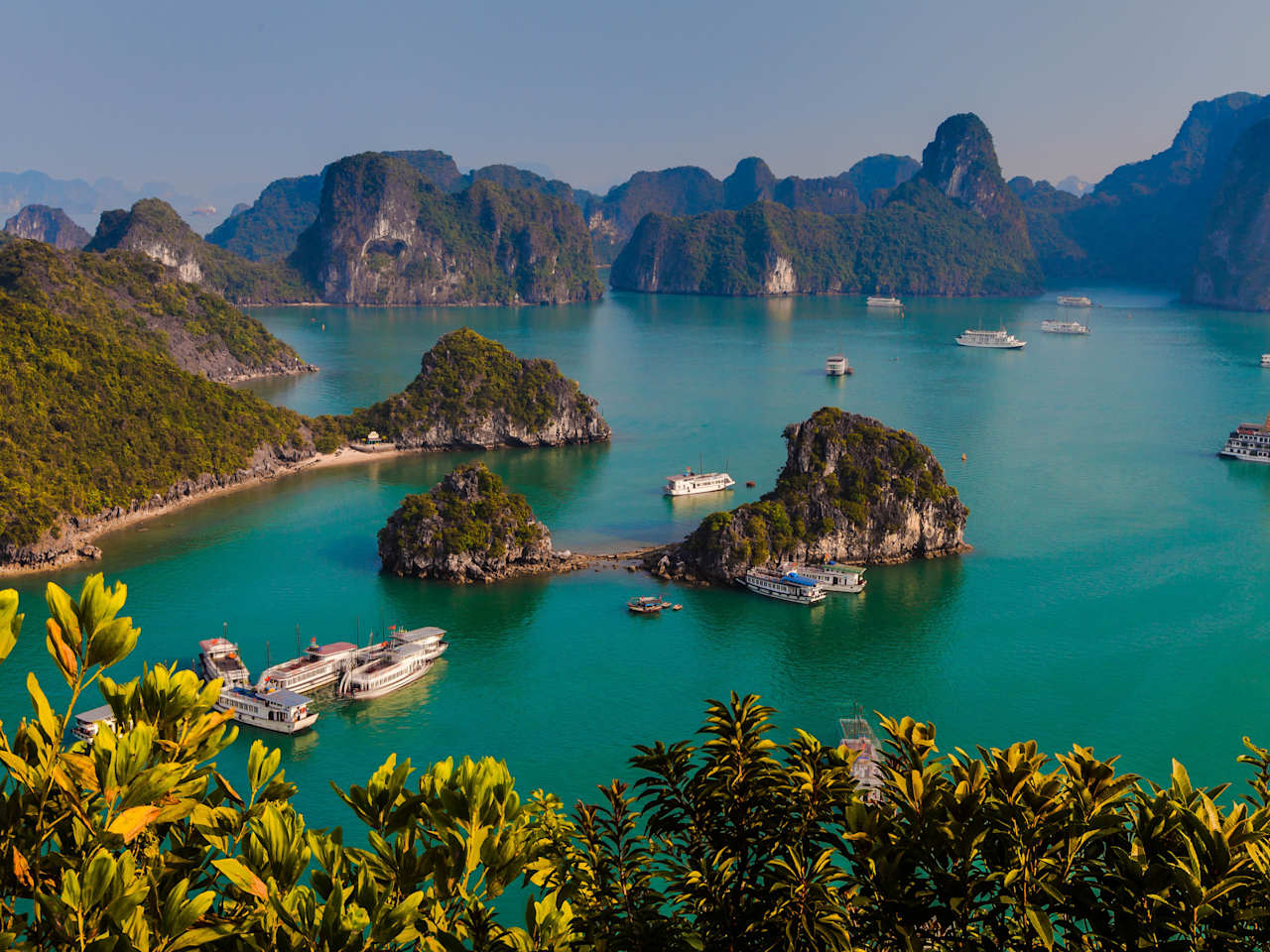 Die besten Orte, um mit Delfinen zu schwimmen