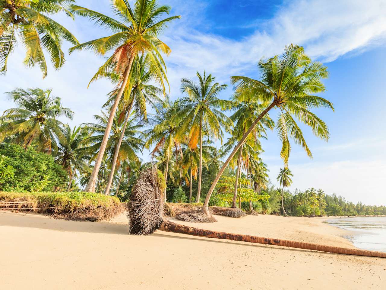 Strand von Bangsak in blauer Himmel und Palmen
