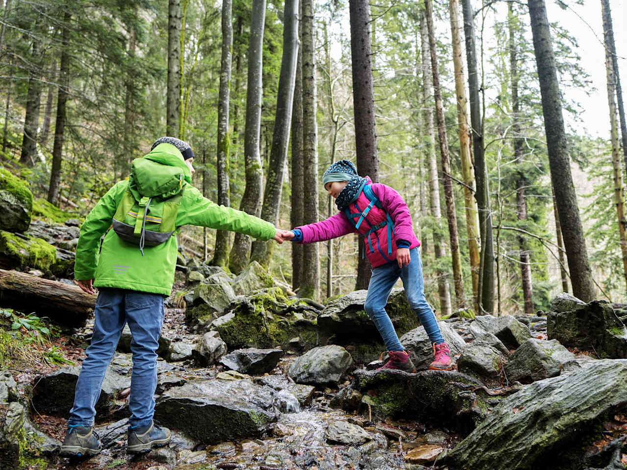 Wanderung im Nördlichen Schwarzwald, Deutschland